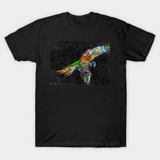 Macaw 1 T-Shirt